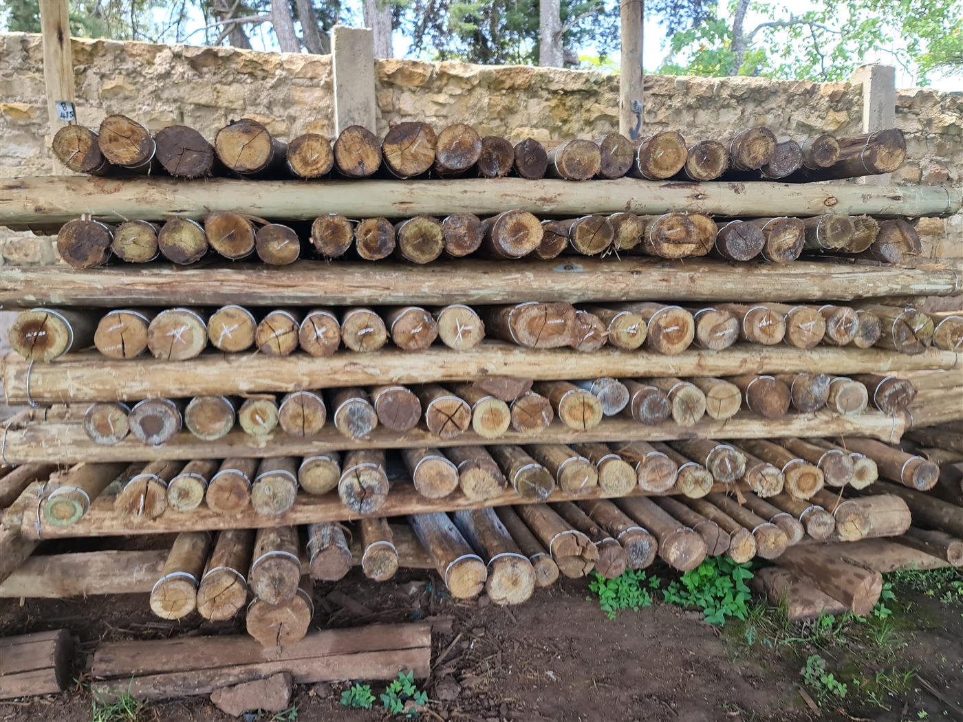 Treated fencing posts