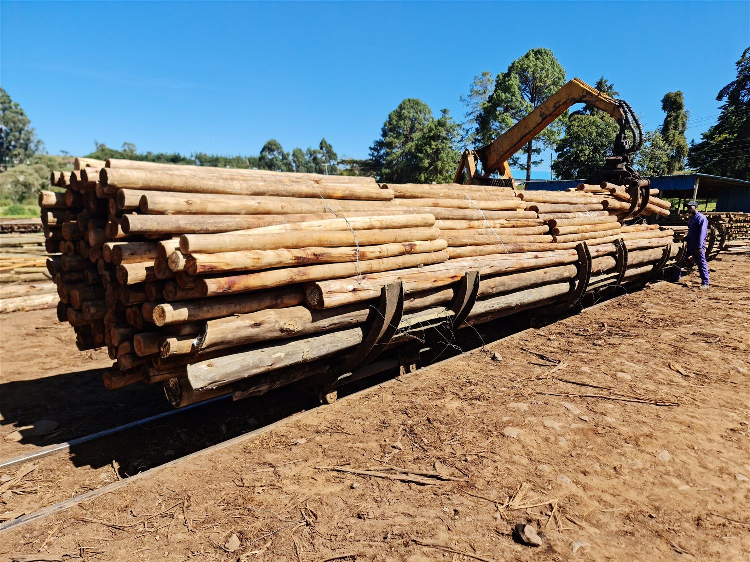 Truck loaded with Brookewood timber poles