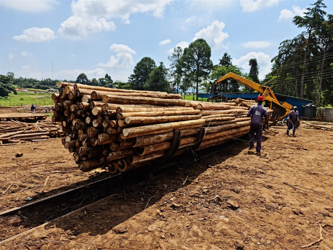 Timber processing at Brookewood