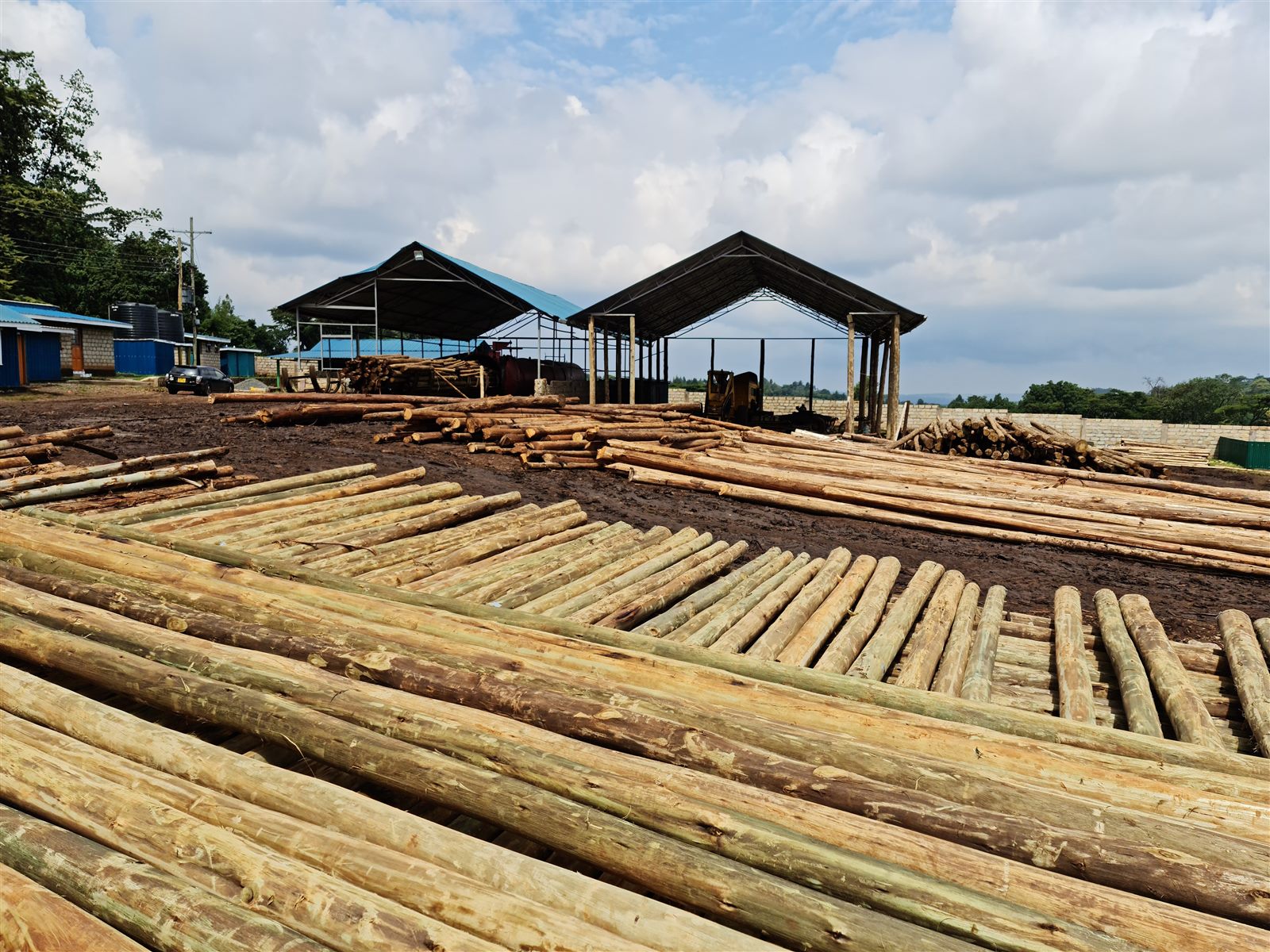 Brookewood timber yard in Kericho